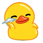 DuckCoding